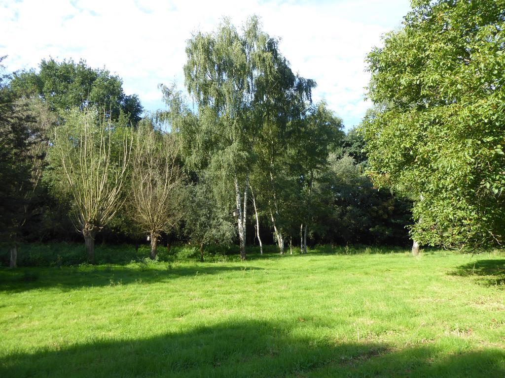 Ferienwohnung Illbruckshof - Ca. 120M² Moers Eksteriør billede